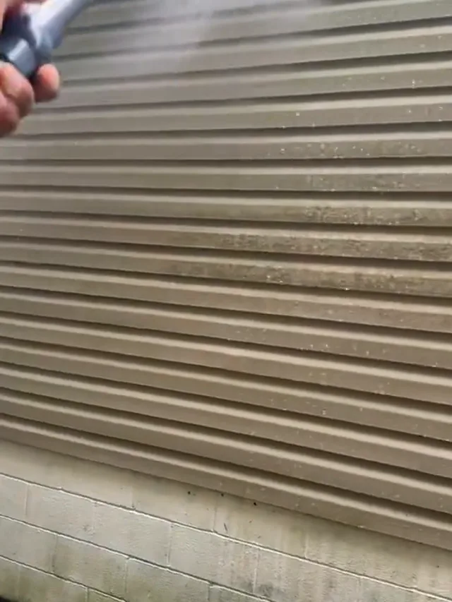 Algae lifting off the siding — Ray-Nor-Shine Pro Wash job photo